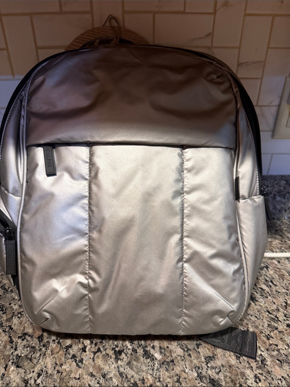 Calpak Silver Metallic Padded Backpack for Men